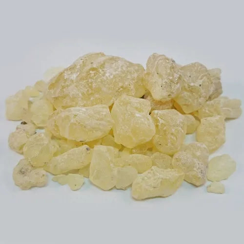 Dammar gum